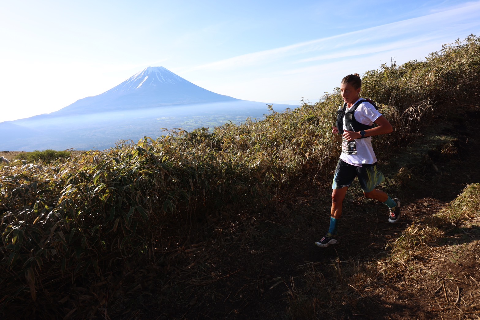 マウントフジ100 Mt. FUJI 100 2025 プレビュー | DogsorCaravan